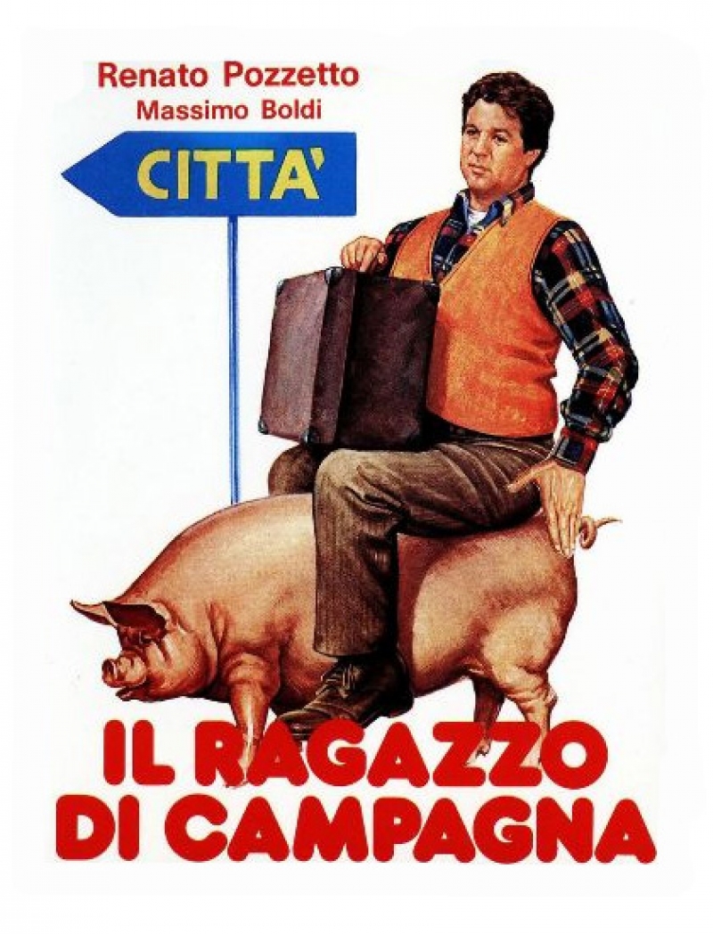 Locandina Ragazzo di campagna (Il)